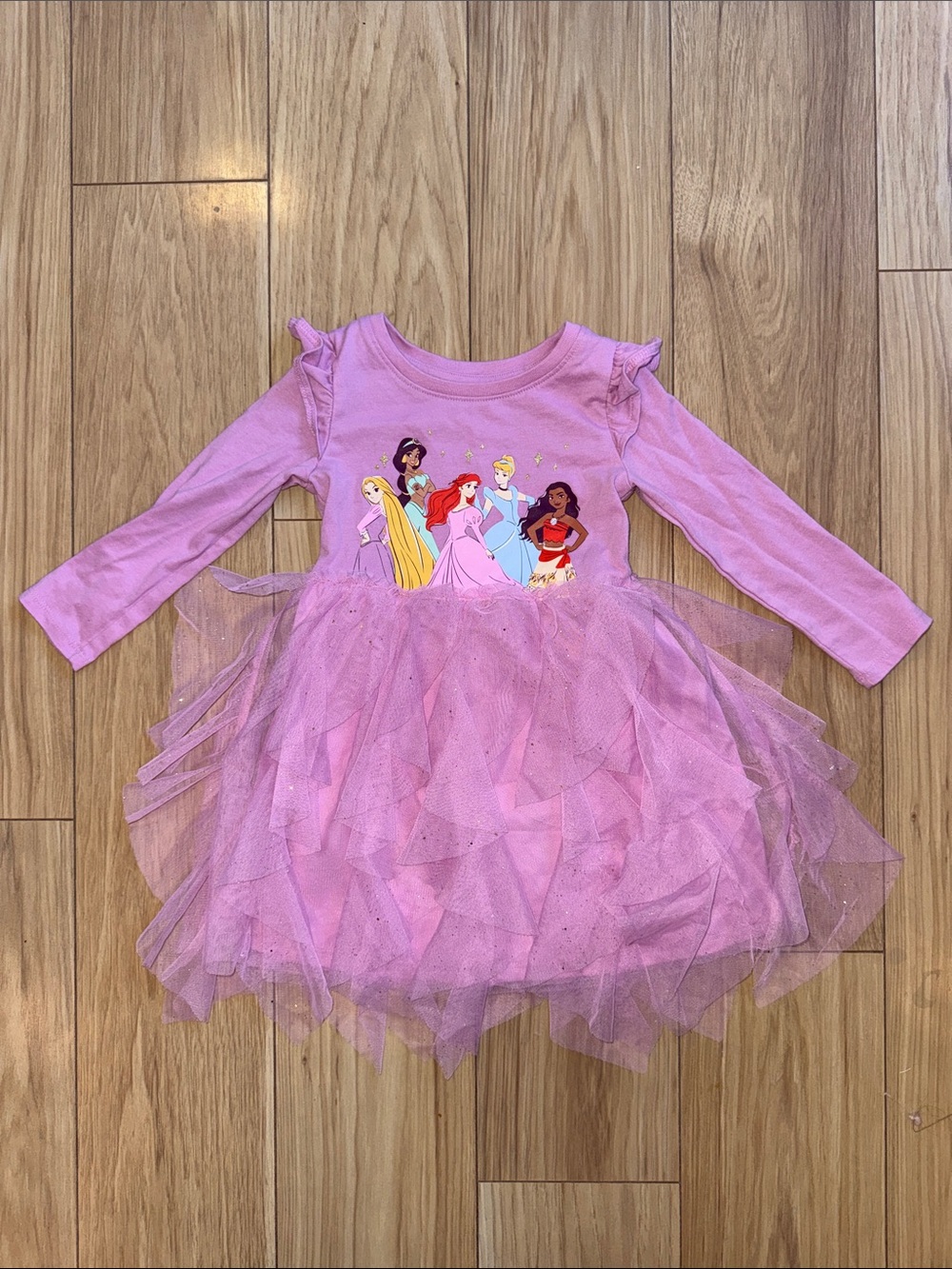Disney Princess Pink Tulle Long Sleeve Dress
